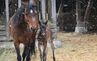 Willkommen auf der Welt!