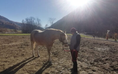 Wir trauern um “Sunny”